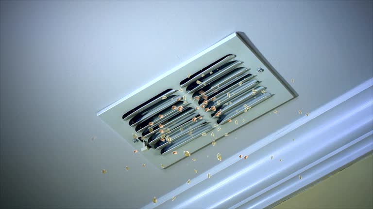 Best Home Air Vent Cleaning  in Wendover, UT